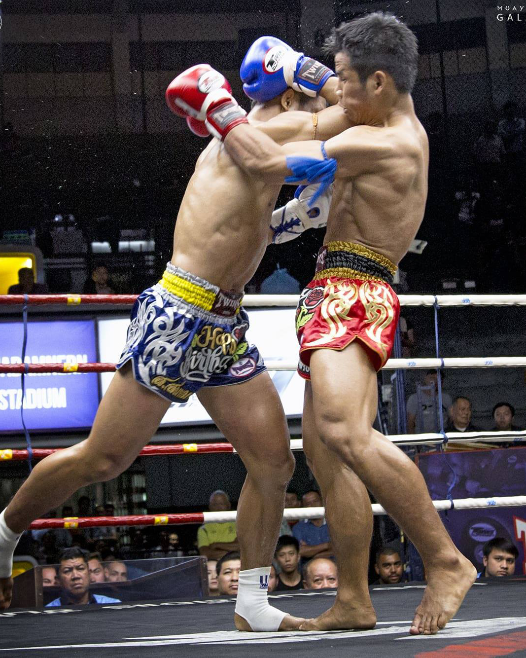 21682373_10155004055881314_483725256_o