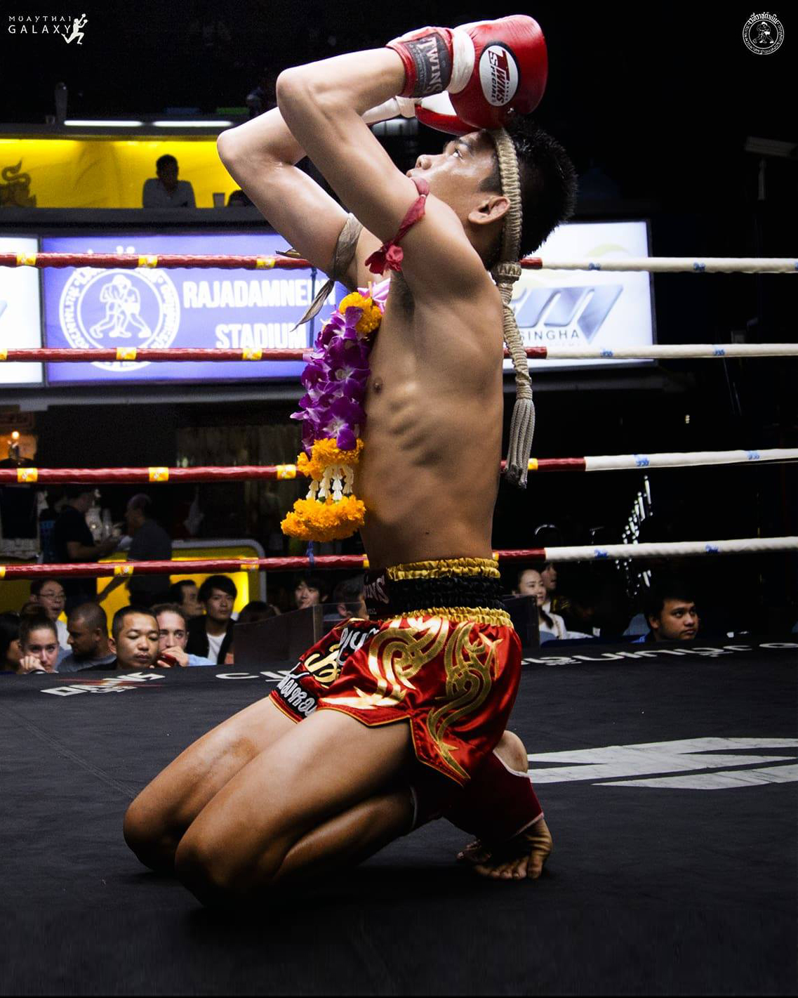 21741991_10154994919886314_1856023839_o