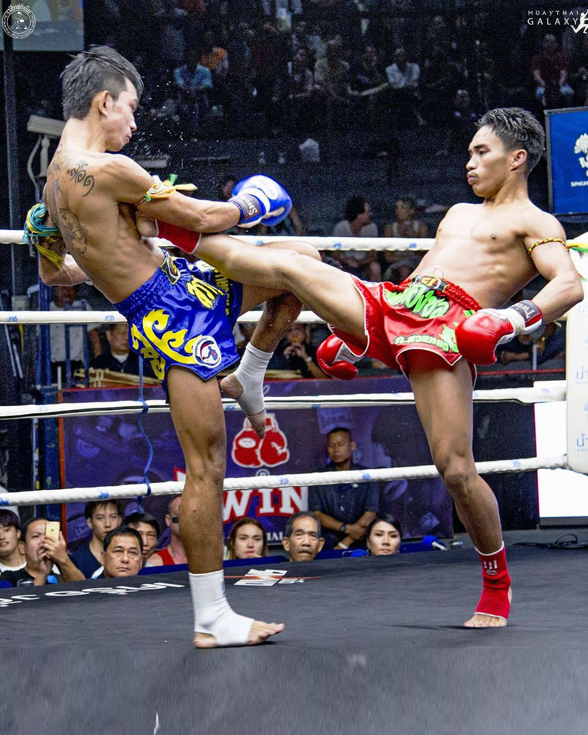 21742080_10154994925111314_1214907035_o (1)